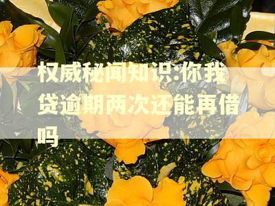 权威秘闻知识:你我贷逾期两次还能再借吗