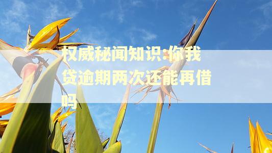 权威秘闻知识:你我贷逾期两次还能再借吗