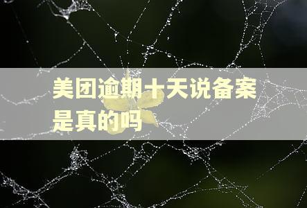 美团逾期十天说备案是真的吗