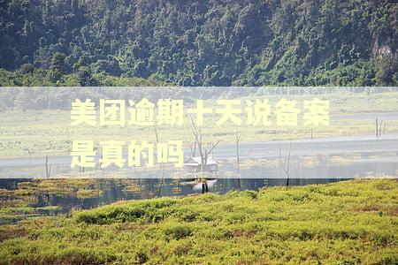 美团逾期十天说备案是真的吗