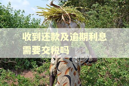 收到还款及逾期利息需要交税吗 收到还款及逾期利息需要交税吗