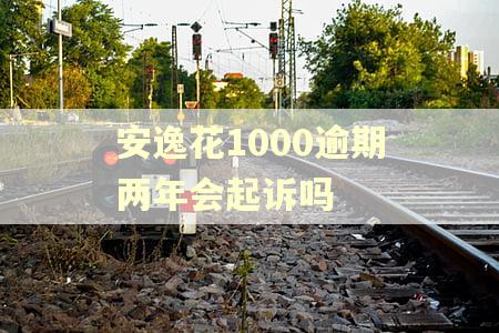 安逸花1000逾期两年会起诉吗