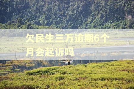 欠民生三万逾期6个月会起诉吗