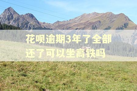 花呗逾期3年了全部还了可以坐高铁吗