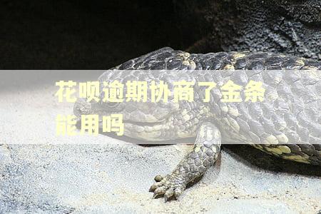 花呗逾期协商了金条能用吗