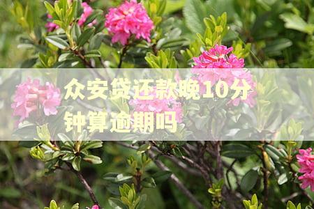 众安贷还款晚10分钟算逾期吗