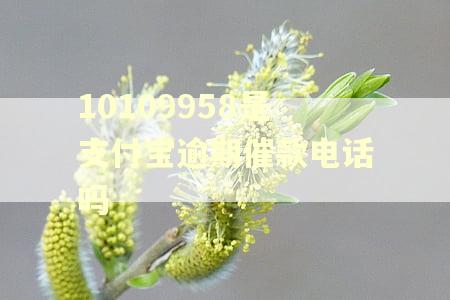 10109958是支付宝逾期催款电话吗