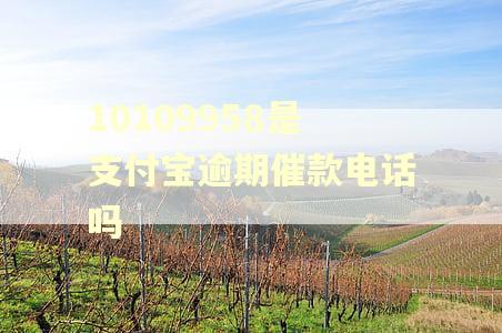 10109958是支付宝逾期催款电话吗