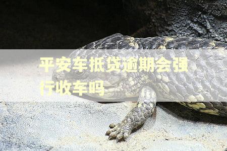 平安车抵贷逾期会强行收车吗