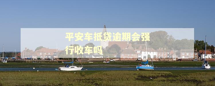 平安车抵贷逾期会强行收车吗