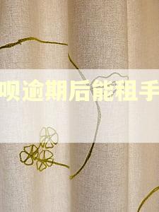 花呗逾期后能租手机吗 花呗逾期后能租手机吗