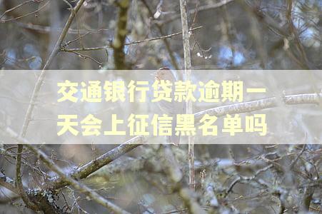 交通银行贷款逾期一天会上征信黑名单吗