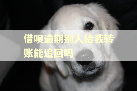 借呗逾期别人给我转账能追回吗 借呗逾期别人给我转账能追回吗