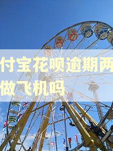 支付宝花呗逾期两年能做飞机吗