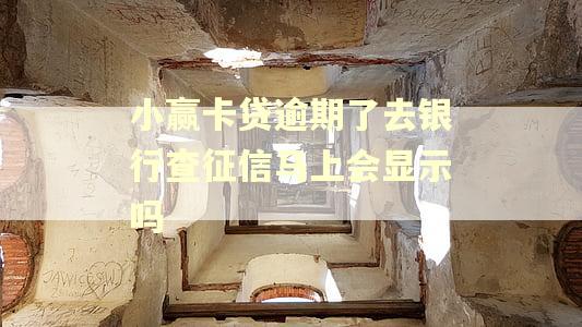 小赢卡贷逾期了去银行查征信马上会显示吗