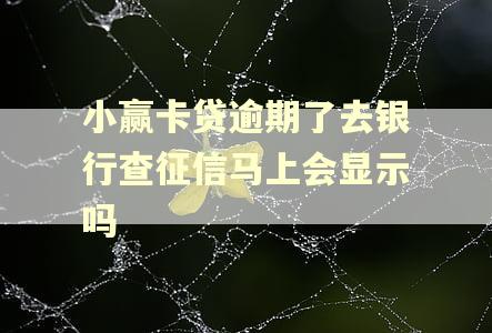小赢卡贷逾期了去银行查征信马上会显示吗