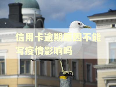 信用卡逾期原因不能写疫情影响吗