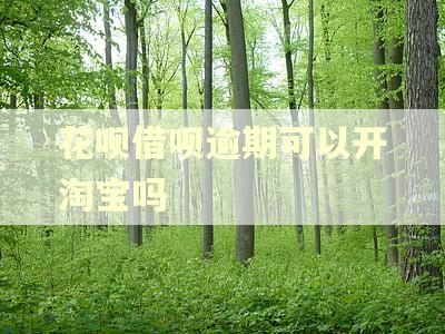 花呗借呗逾期可以开淘宝吗