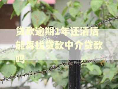 贷款逾期1年还清后能再找贷款中介贷款吗