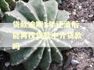 贷款逾期1年还清后能再找贷款中介贷款吗