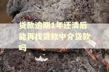 贷款逾期1年还清后能再找贷款中介贷款吗