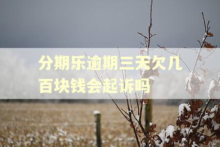 分期乐逾期三天欠几百块钱会起诉吗