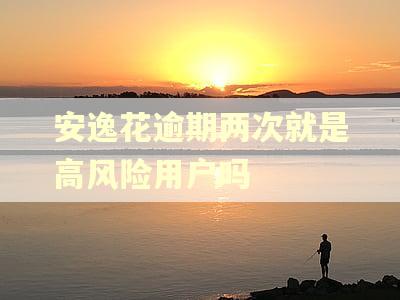 安逸花逾期两次就是高风险用户吗