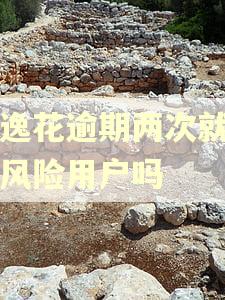 安逸花逾期两次就是高风险用户吗
