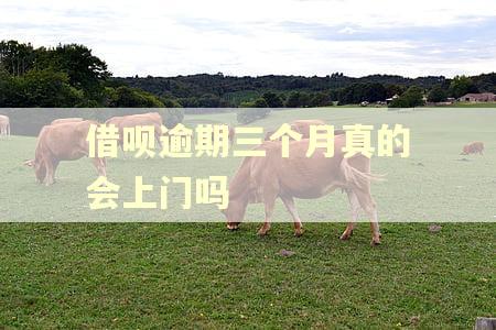 借呗逾期三个月真的会上门吗