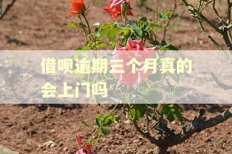 借呗逾期三个月真的会上门吗