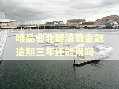 唯品会北银消费金融逾期三年还能用吗