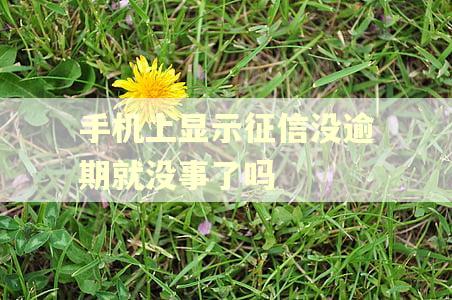 手机上显示征信没逾期就没事了吗