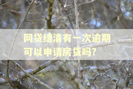 网贷结清有一次逾期可以申请房贷吗?