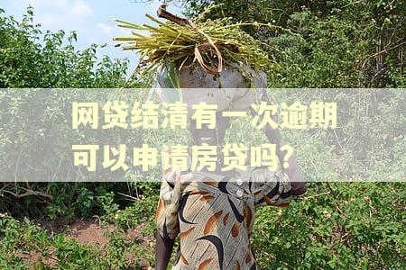 网贷结清有一次逾期可以申请房贷吗?