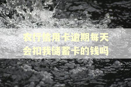 农行信用卡逾期每天会扣我储蓄卡的钱吗