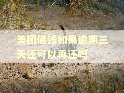 美团借钱如果逾期三天还可以再还吗
