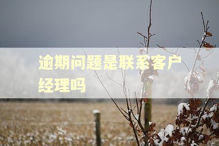 逾期问题是联系客户经理吗
