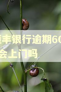 恒丰银行逾期6000会上门吗 恒丰银行逾期6000会上门吗