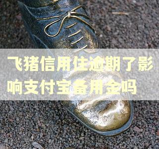 飞猪信用住逾期了影响支付宝备用金吗