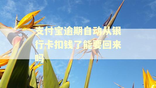 支付宝逾期自动从银行卡扣钱了能要回来吗 支付宝逾期自动从银行卡扣钱了能要回来吗