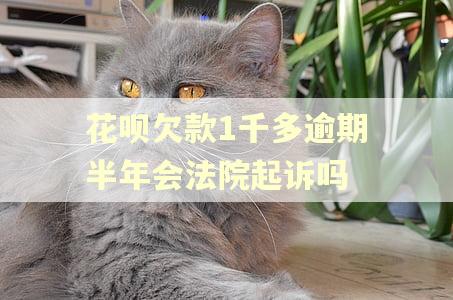 花呗欠款1千多逾期半年会法院起诉吗