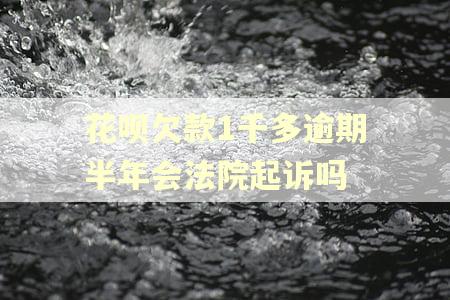 花呗欠款1千多逾期半年会法院起诉吗