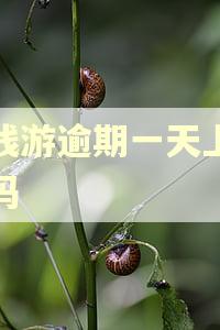提钱游逾期一天上征信吗