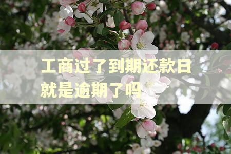 工商过了到期还款日就是逾期了吗