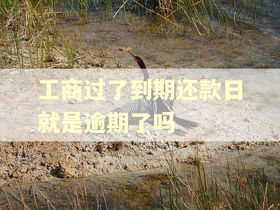 工商过了到期还款日就是逾期了吗