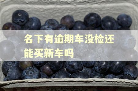 名下有逾期车没检还能买新车吗