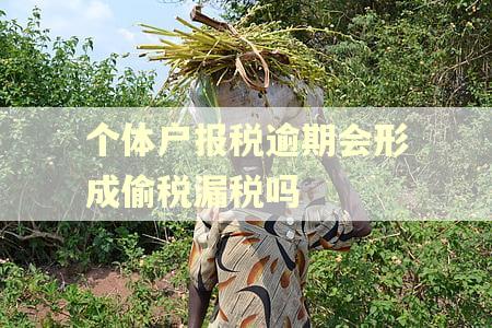 个体户报税逾期会形成偷税漏税吗