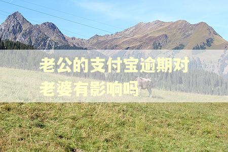 老公的支付宝逾期对老婆有影响吗
