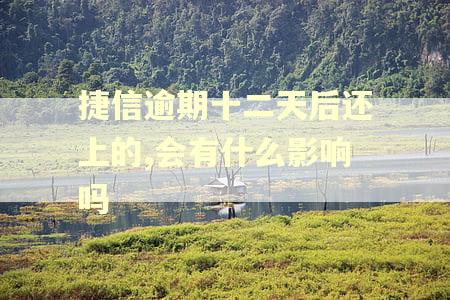 捷信逾期十二天后还上的,会有什么影响吗