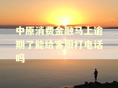 中原消费金融马上逾期了能给客服打电话吗